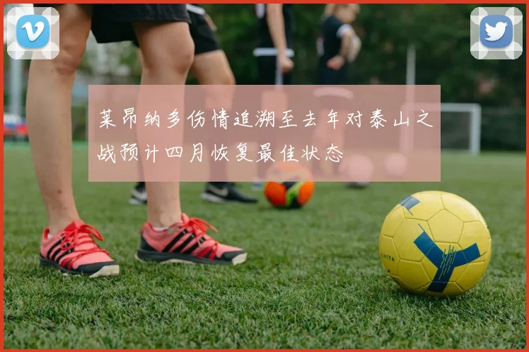 莱昂纳多伤情追溯至去年对泰山之战预计四月恢复最佳状态