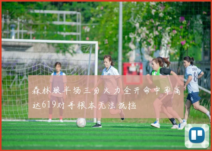 森林狼半场三分火力全开命中率高达619对手根本无法抵挡